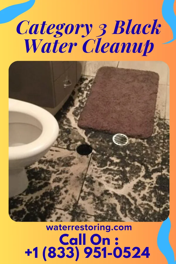 Category 3 Black Water Cleanup in Darrington, WA