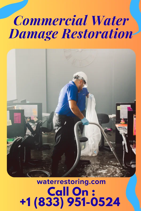 Commercial Water Damage Restoration in Darrington, WA