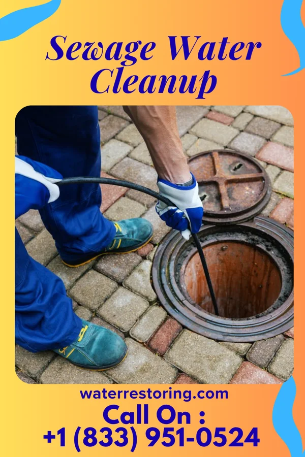 Sewage Water Cleanup in Darrington, WA
