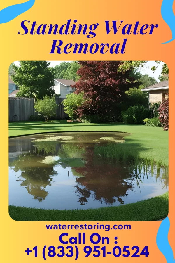 Standing Water Removal in Darrington, WA